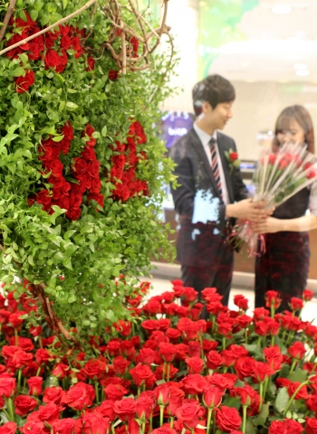 현대백화점 무역센터점은 봄 정기세일을 맞아 빨간 장미 1천5백송이로 꾸며진 화단을 만들었다.
