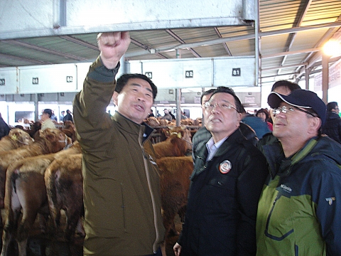 영광읍 학정리에 위치한 가축시장을 새벽에 방문한 정기호 영광군수