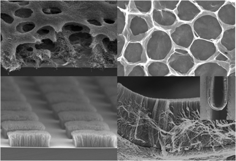 그래핀과 탄소니노튜브로 이루어진 3차원 구조체