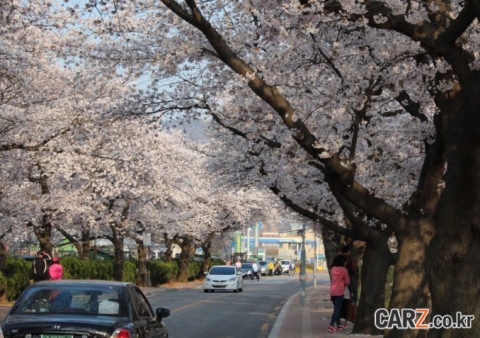 “내 車만 아직 겨울?”…봄 관리 따로 있다