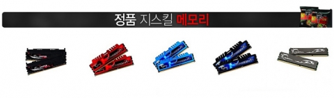 현재 아이코다 쇼핑몰에서 판매중인 지스킬 중 일부