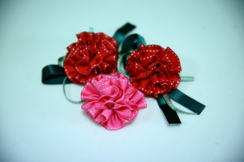 증정카네이션 이미지