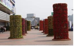 대구시, 2011육상대회 상징하는 꽃조형물 설치 완료