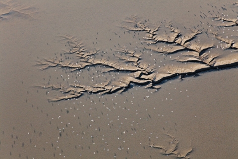 항공사진 작가 선상근의 갯벌 사진전 개최