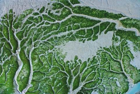 항공사진 작가 선상근의 갯벌 사진전 개최