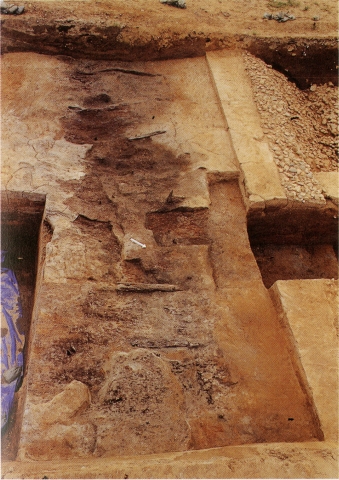 풍납토성 부엽공법