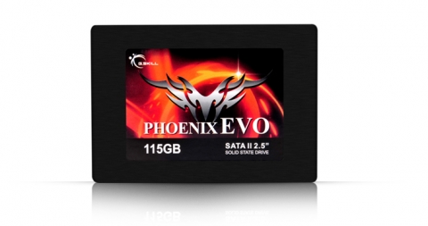 G.SKILL Phoenix EVO 제품 사진