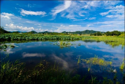 상주 공검지, 대구·경북 최초 국가습지로 지정