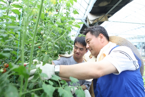삼성SDS 고순동 대표이사 사장이 경기도 파주에 위치한 교남어유지동산에서 지적장애인들과 봉사리더들과 함께 오이, 토마토 등 야채를 수확하고 있다.