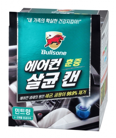 불스원 에어컨 살균캔 민트