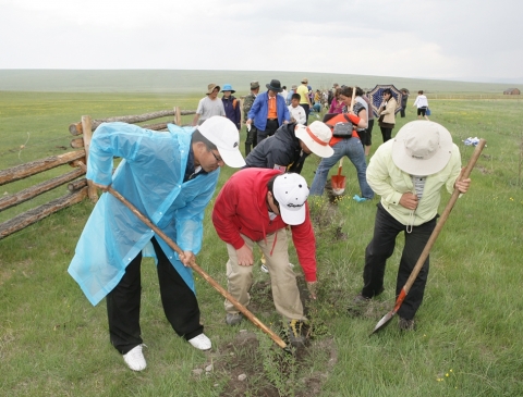 나무심기를 하고 있는 DGB금융지주 및 자회사 직원들