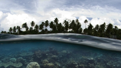 쥬메이라 비타벨리 리조트 몰디브