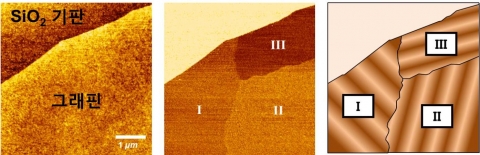 SiO2 기판위에 박리법으로 증착된 그래핀의 원자힘 현미경 이미지(좌), 마찰력 도메인 이미지(중앙), 마찰 도메인에서 예측한 잔주름 분포(우).
