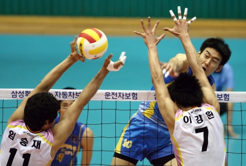 영광군, 전국대학배구대회 개최