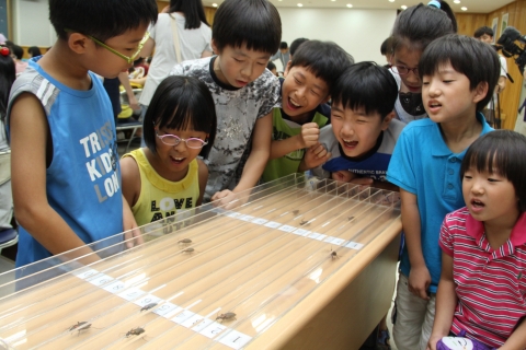 농진청, 7월 25~26일 여름 곤충생태학교 개최