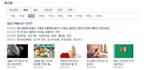 다음, 검색 통해 관련 정보 한 눈에 찾아볼 수 있는 ‘미즈맘 검색서비스’ 오픈