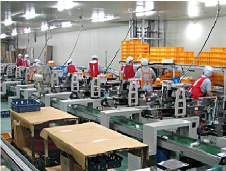 (주)오토닉스의 팽이버섯 자동생산 장면2