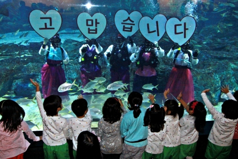 29일, 부산아쿠아리움 개관 10주년 감사이벤트를 기념하여 한복을 차려 입은 다이버가 
수중에서 감사 인사 세레모니를 선보이고 있다.