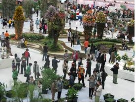 대구시, 제2회 대구꽃박람회 성료