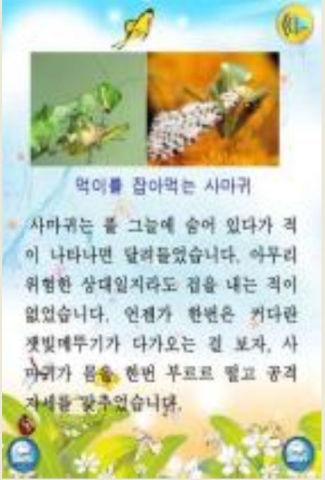 스마트폰에서 보이는 구연동화 모습