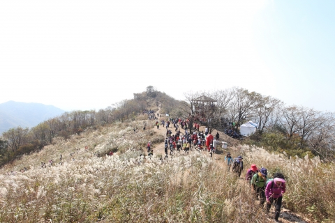 명성산 억새군락 전경