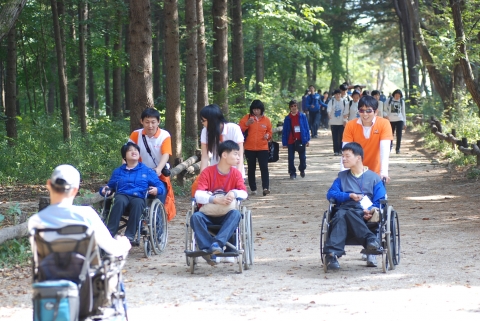 남이섬을 산책하고 있는 장애인단체