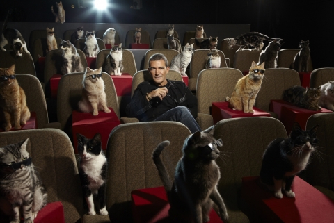 ‘장화신은 고양이’ 북미 박스오피스 1위…세계 최초 캣 프리미어 성황리 개최