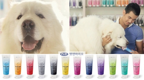출처 : 펫앤바이오