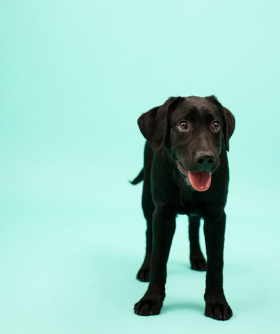 스몰스탠다드 웹진 촬영 사진 "Bob" Photo by A studio.