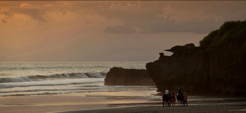 알릴라빌라스수리