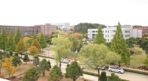 군산대 수시 3차 경쟁률 8.0 대 1