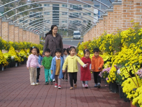 영광군, '2011 국화전시회' 성료