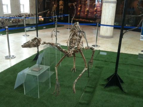 몽골특별전 진품