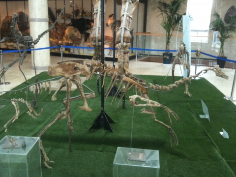 몽골특별전 진품