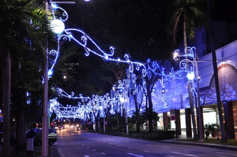 싱가포르관광청은 2011년 크리스마스를 맞아 `크리스마스 인 더 트로픽스 (Christmas in the Tropics)’ 점등행사를 진행한다.