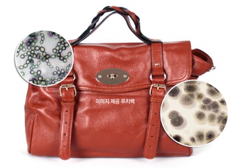 여성가방 쇼핑몰 ‘푸치백’ 가죽가방 곰팡이 제거법 소개