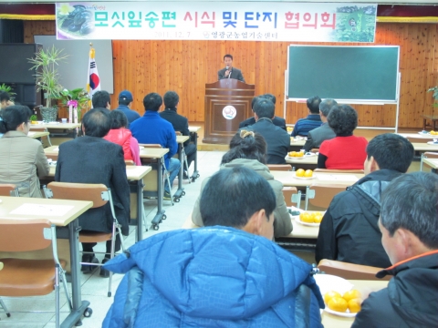 영광군, 모싯잎송편 명품화 교육 실시