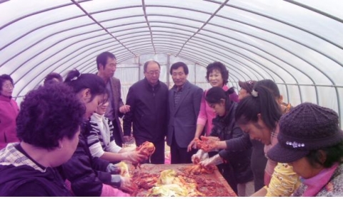 영광군 백수읍 어머니 자원봉사대와 이주여성들, 김장 담가 어려운 이웃에 전달