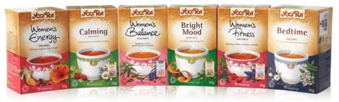 여성의 몸에 가장 잘 맞는 차 ‘요기티’ 국내 첫 시판