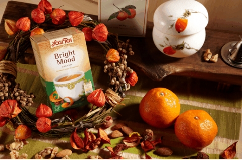 여성의 몸에 가장 잘 맞는 차 ‘요기티’ 국내 첫 시판