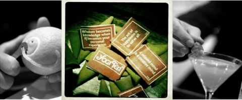 여성의 몸에 가장 잘 맞는 차 ‘요기티’ 국내 첫 시판