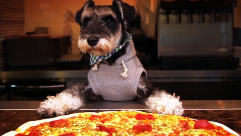 Small&#039;s Attack Mickjones&#039; Pizza!