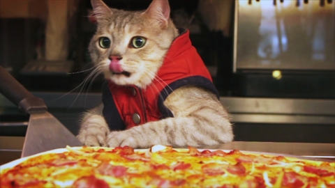 Small&#039;s Attack Mickjones&#039; Pizza!