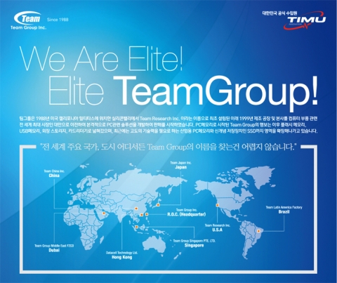 국내용 브로셔내 팀그룹 회사 소개