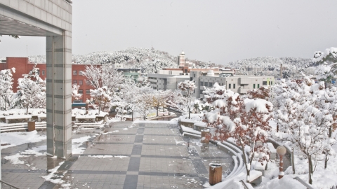 2012학년도 군산대 정시 경쟁률 4.1대 1