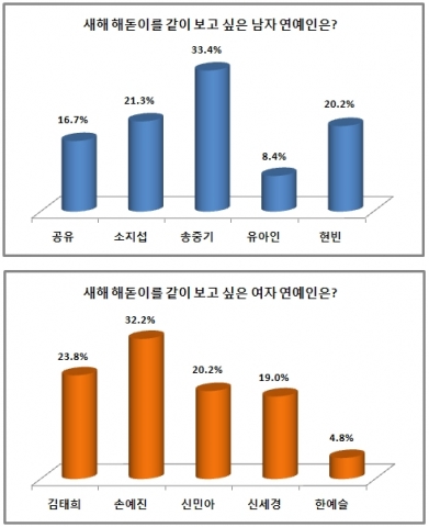 해돋이 설문 그래프