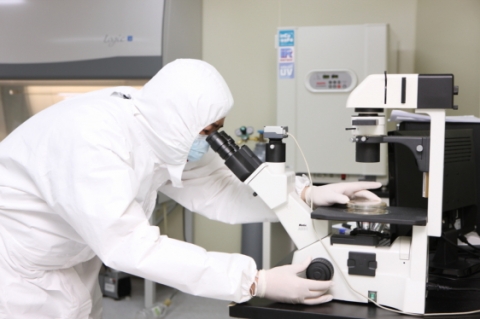 오앤영성형외과 줄기세포 연구소