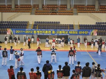 전국 태권도 꿈나무들 영광에서 구슬땀