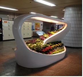 식물농장