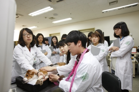 18일 오후 수의학과 전공체험프로그램에 참여한 학생들이 강아지의 초음파검사를 해보고 있다.
